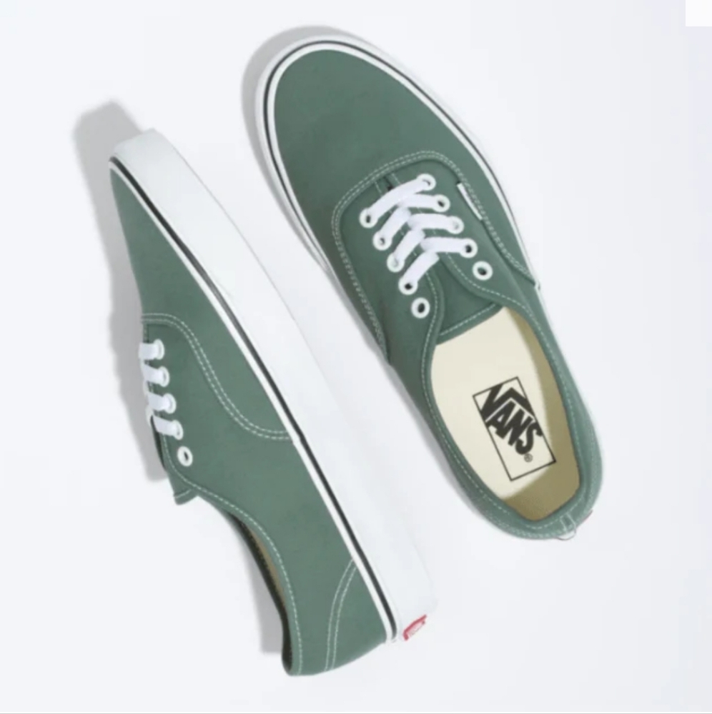 Duck Green Van's Old School Skate Shoe